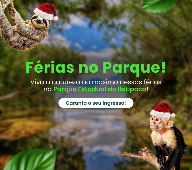 Férias no Parque
