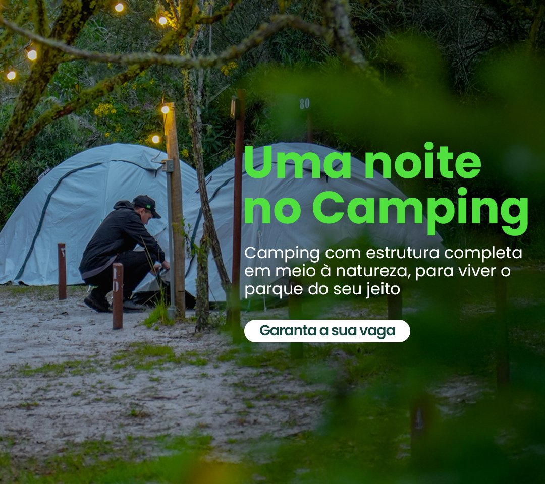 Camping do Ibitipoca